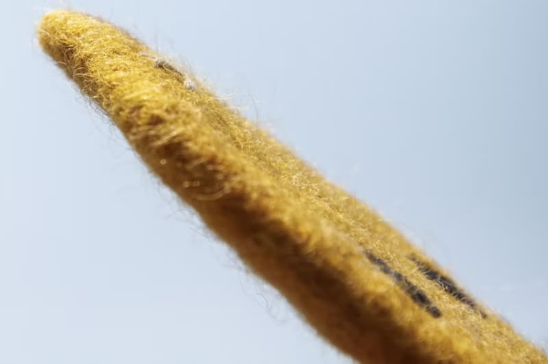 聖誕交換禮物 羊毛氈杯墊 萌動物吸水杯墊-動物園刺繡狐狸 毛孩子