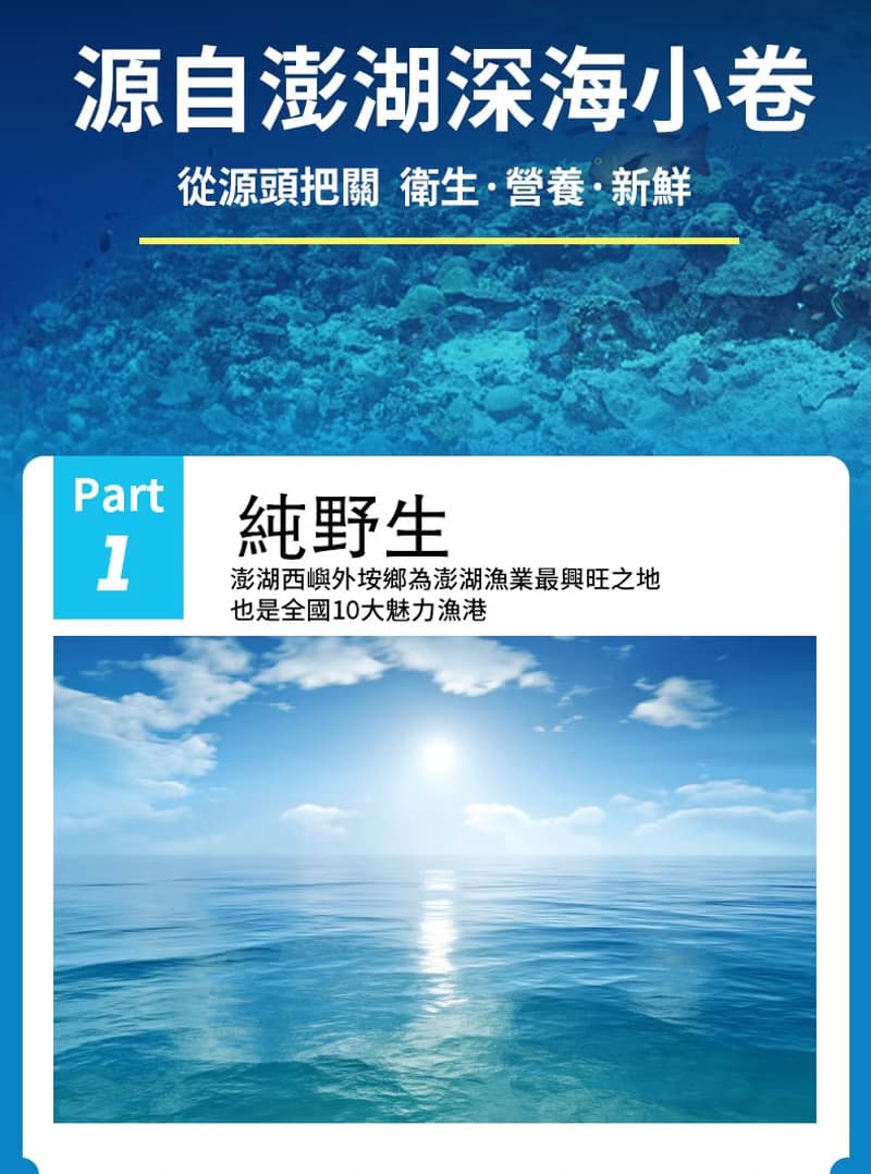 【老張鮮物】澎湖日曬大隻小管乾/小卷乾