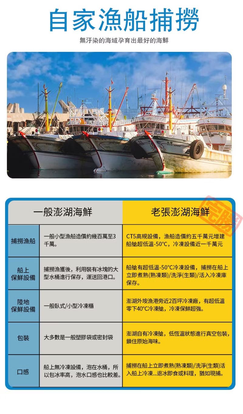 【老張鮮物】澎湖日曬大隻小管乾/小卷乾
