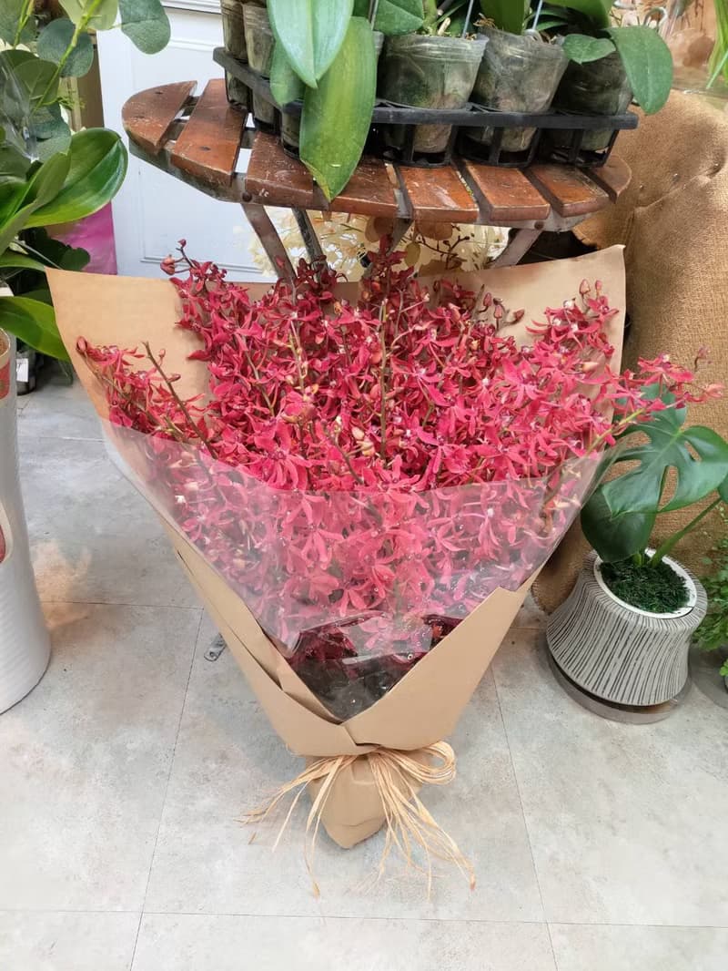 鮮花系列~腎藥蘭花束 精緻花禮 台北市外送免運費典華優惠券