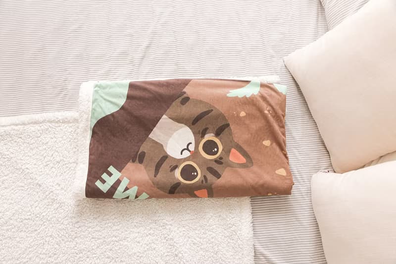 薄荷巧克力口味的貓咪羊羔絨毯 冷氣毯 午睡毯 寵物毯