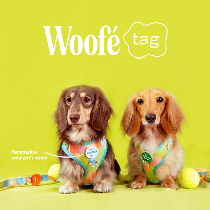 PERSONALISED Woofé Tag for DOGGU HARNESS