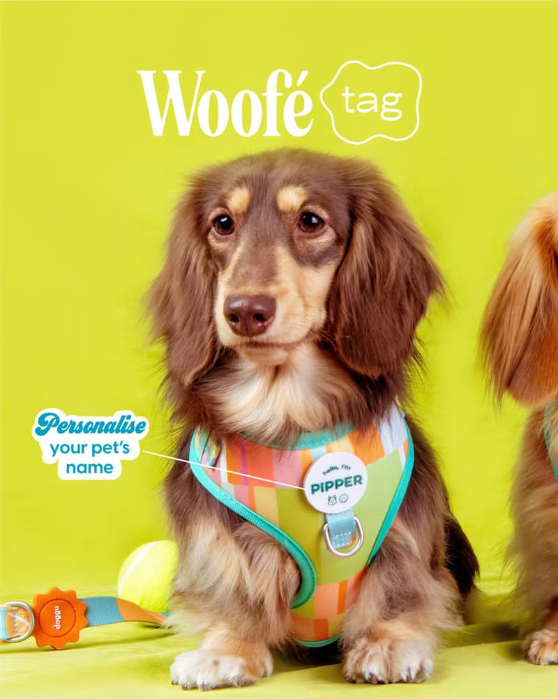 PERSONALISED Woofé Tag for DOGGU HARNESS