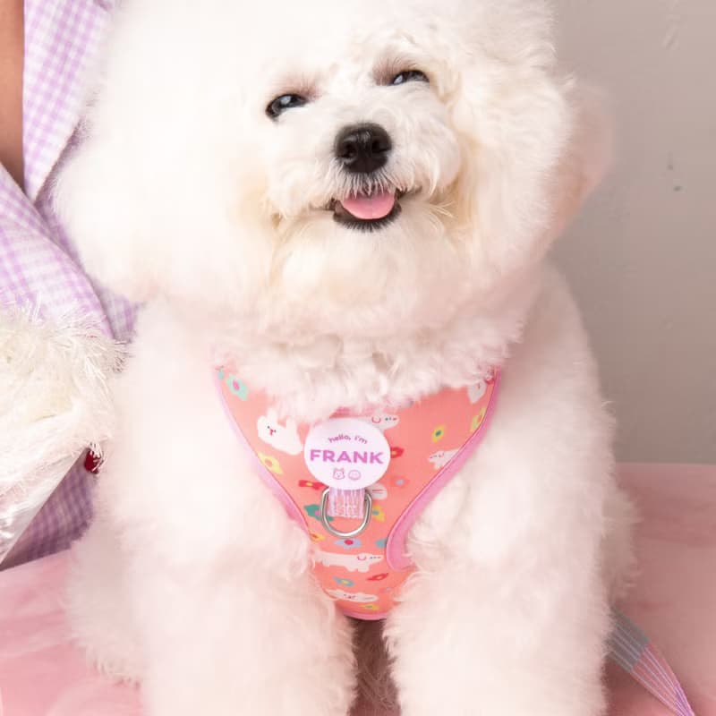 PERSONALISED Woofé Tag for DOGGU HARNESS