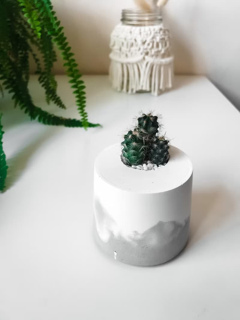 雪山洞穴-桌上型盆栽/水泥盆栽