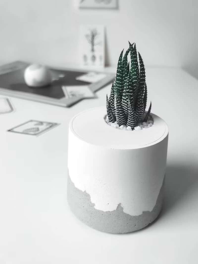 雪山洞穴-桌上型盆栽/水泥盆栽