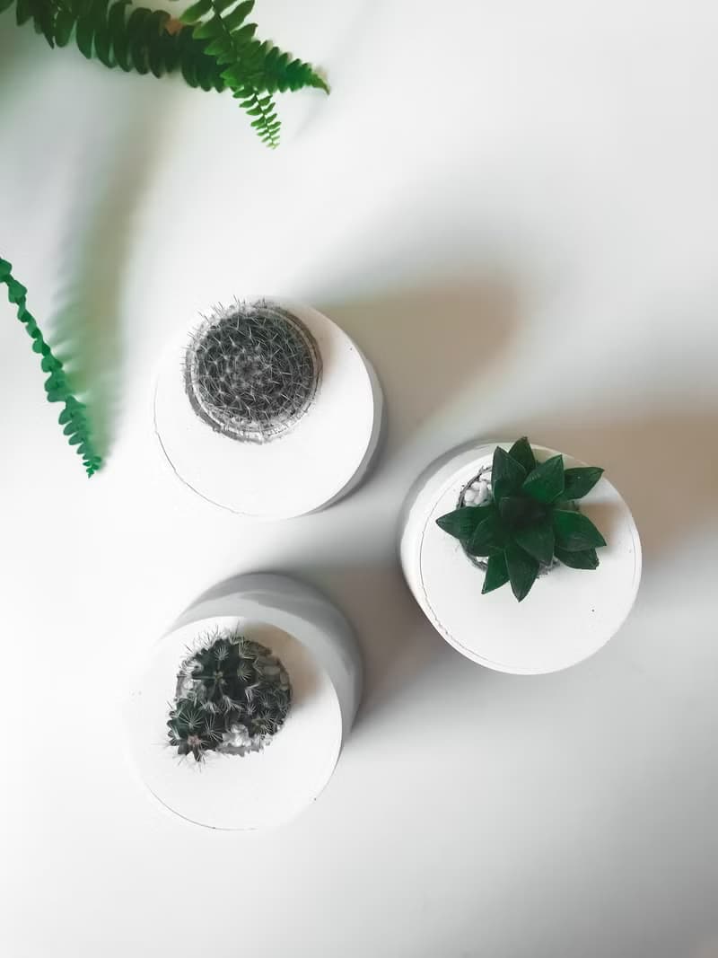 雪山洞穴-桌上型盆栽/水泥盆栽