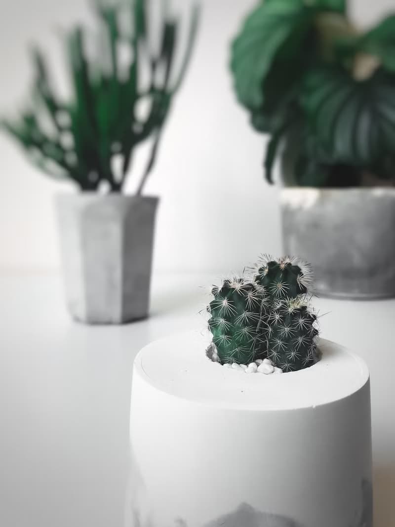 雪山洞穴-桌上型盆栽/水泥盆栽