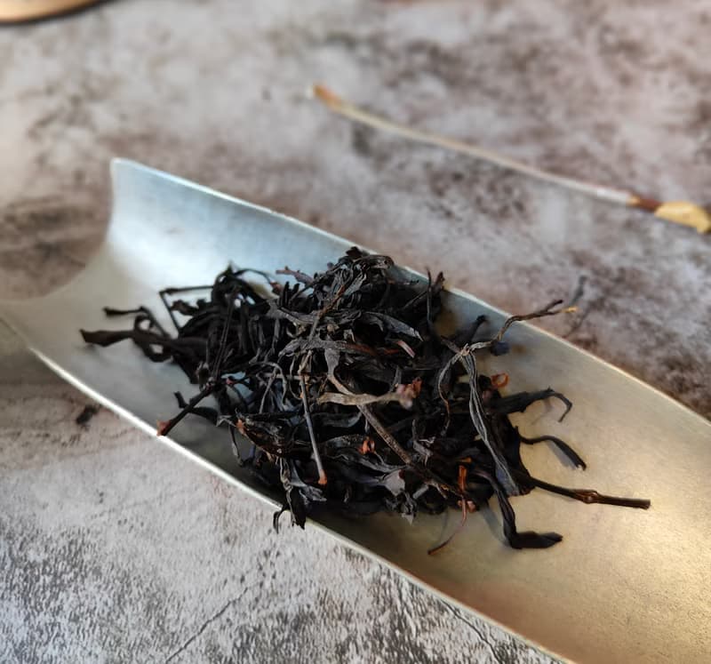 新品 小葉種紅茶 武夷紅茶 年節禮盒