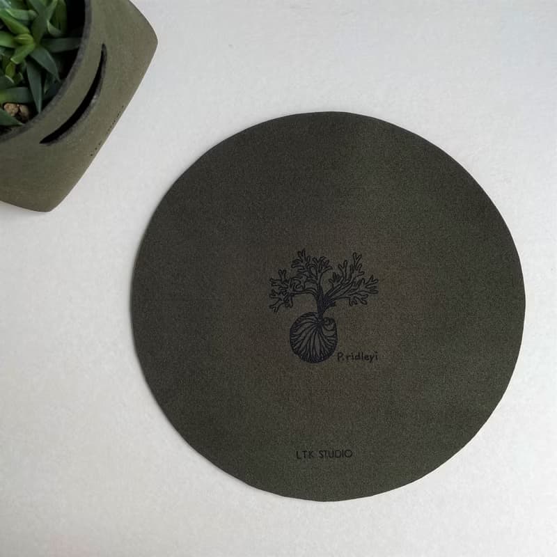 Plant 素皮革植物雷雕滑鼠墊 - 亞洲猴腦鹿角蕨