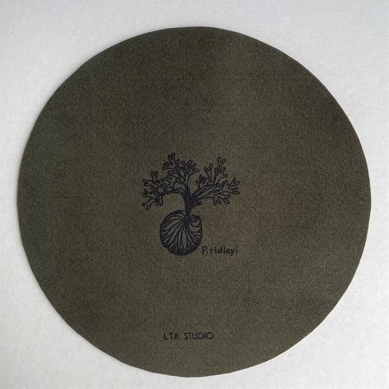 Plant 素皮革植物雷雕滑鼠墊 - 亞洲猴腦鹿角蕨