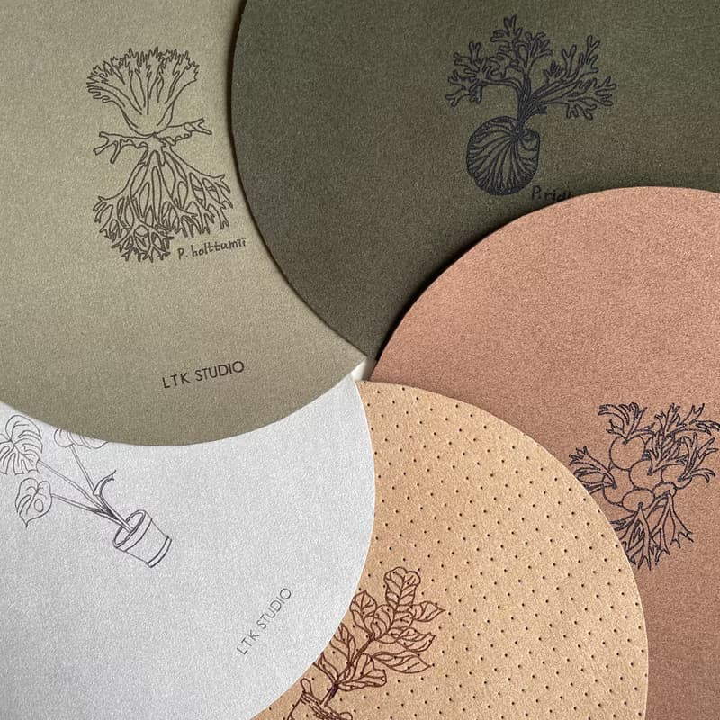 Plant 素皮革植物雷雕滑鼠墊 - 亞洲猴腦鹿角蕨