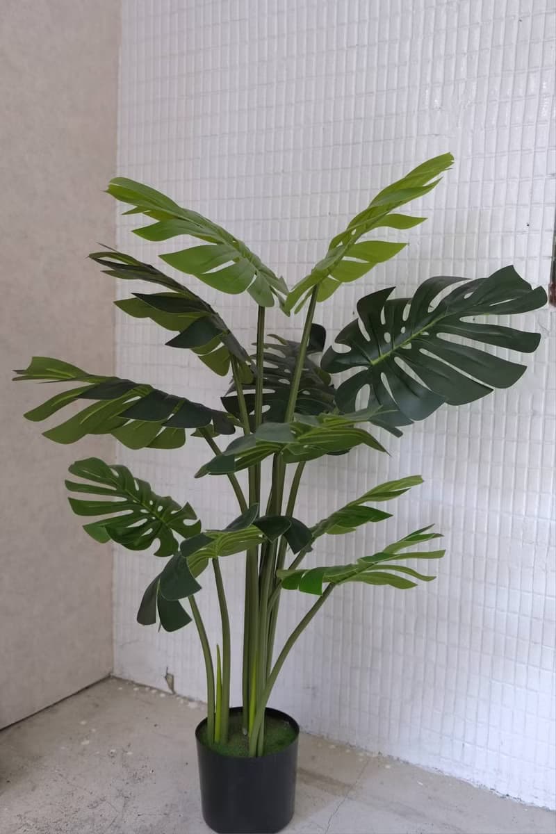 人造植栽/仿真龜背葉/仿真植物/綠化/永不凋零