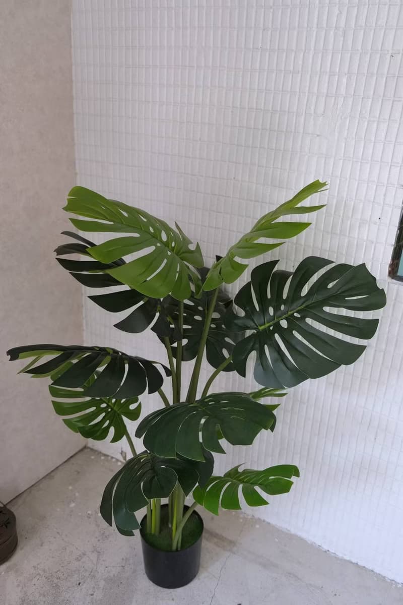 人造植栽/仿真龜背葉/仿真植物/綠化/永不凋零