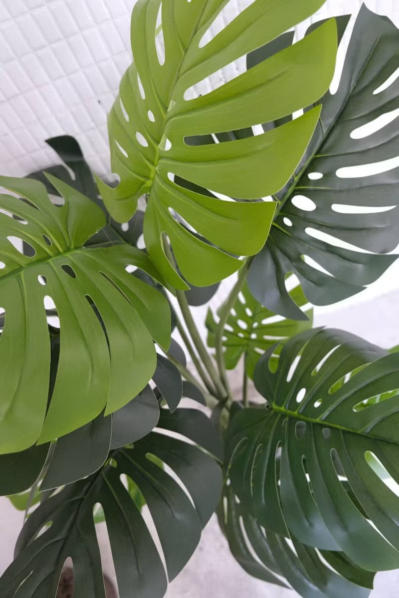 人造植栽/仿真龜背葉/仿真植物/綠化/永不凋零