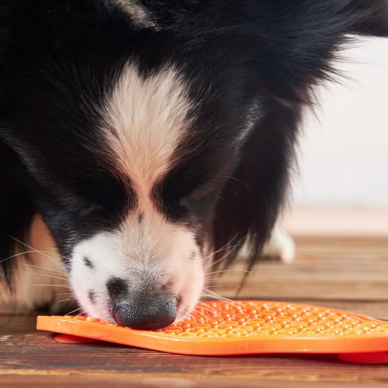 【貓狗用品】PetDreamHouse 爪爪星球口水舔食墊