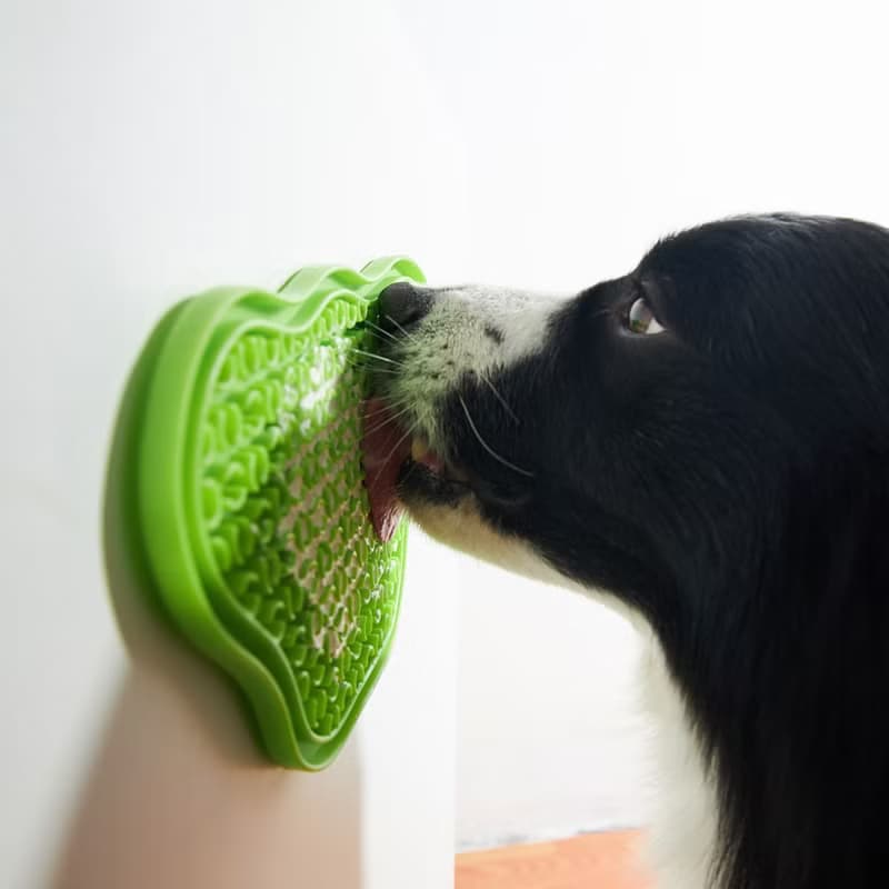 【貓狗用品】PetDreamHouse 爪爪星球口水舔食墊