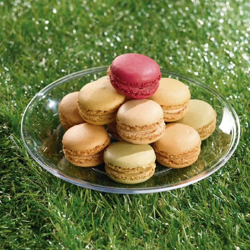 【哩皿生活】Tritan圓盤 3入組  玻璃質感 野餐盤 露營 甜點盤