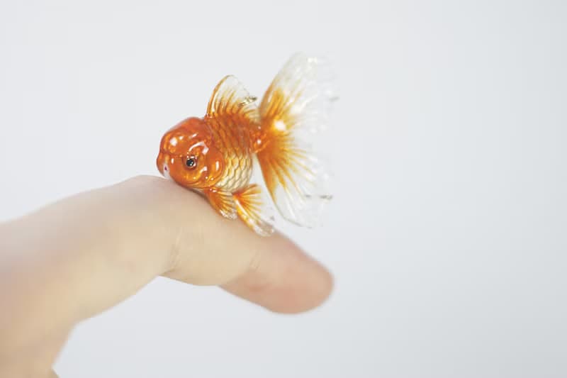 橘色泰獅金魚可愛靈動耳環耳夾 獨立設計 小動物創意飾品交換禮物