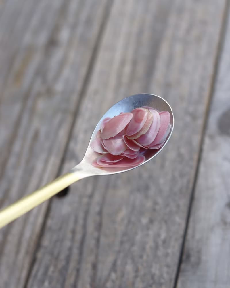 錘木紋 黃銅湯匙組 茶匙 S 2入