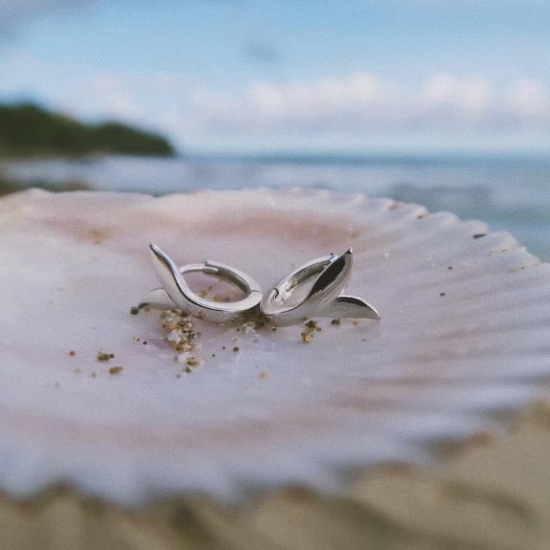 海豚尾巴圈 DOLPHINS TAIL