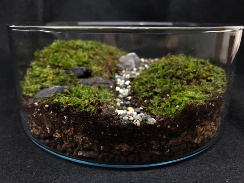 苔蘚生態缸-青青草原款