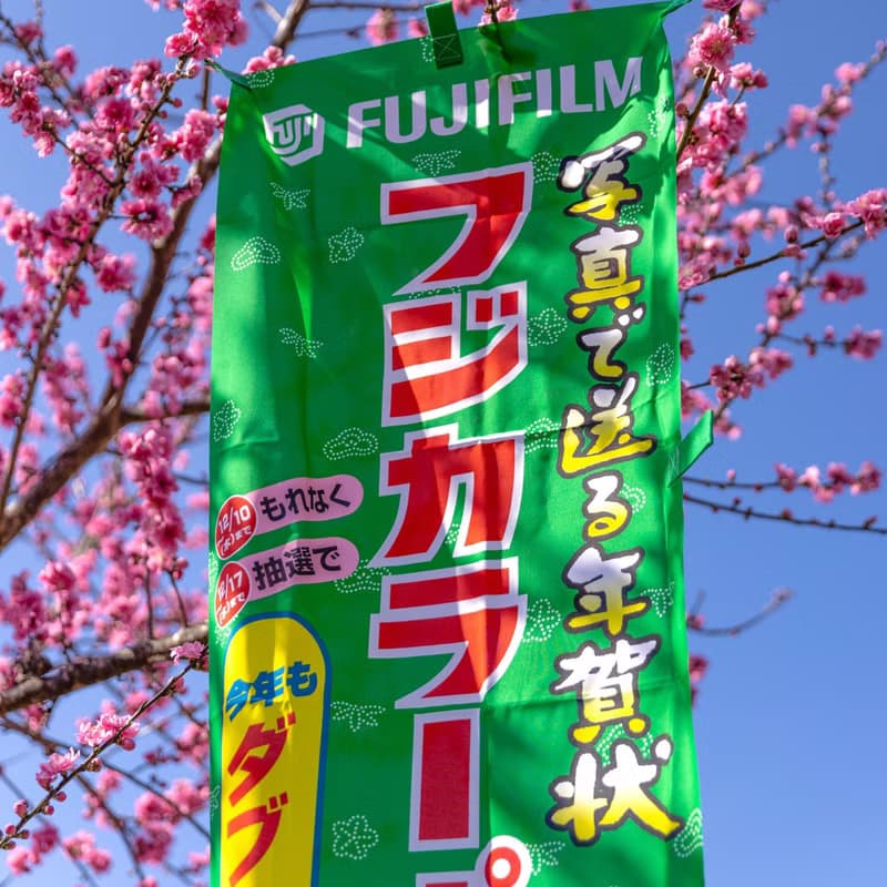桑惠商號  昭和日本製 富士FUJIFILM 特別色印刷廣告旗幟 直式