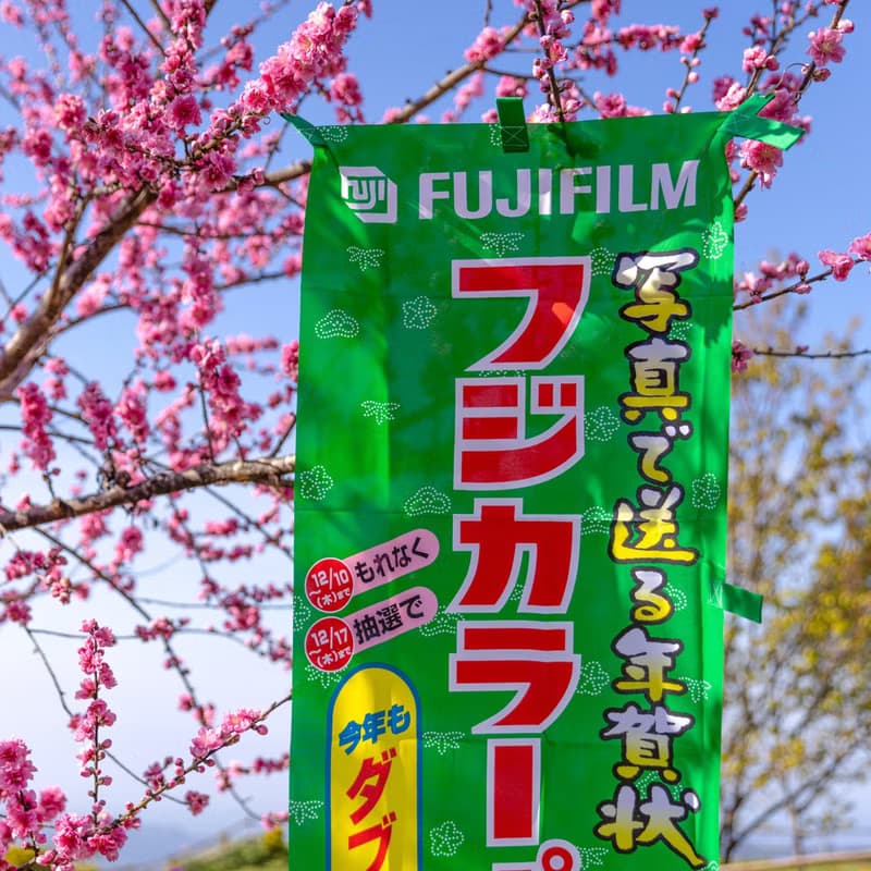 桑惠商號  昭和日本製 富士FUJIFILM 特別色印刷廣告旗幟 直式