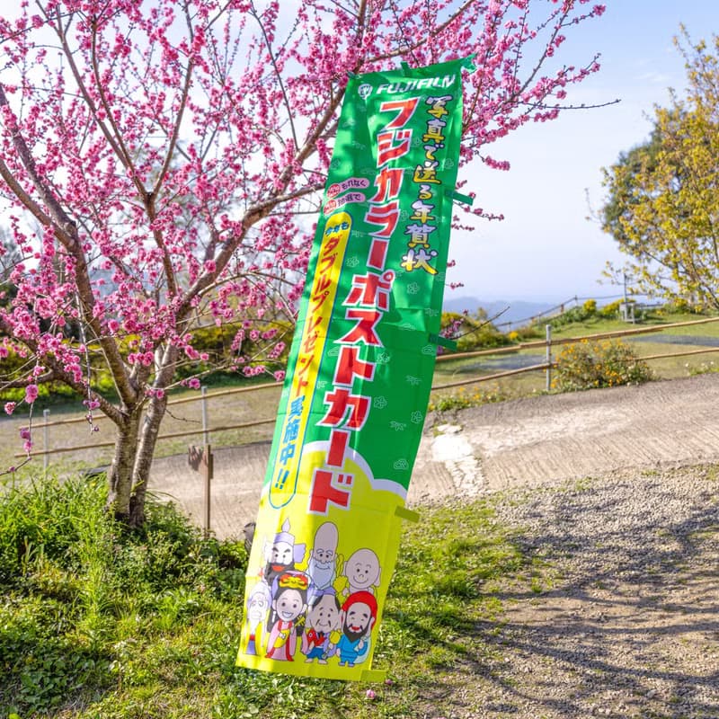 桑惠商號  昭和日本製 富士FUJIFILM 特別色印刷廣告旗幟 直式