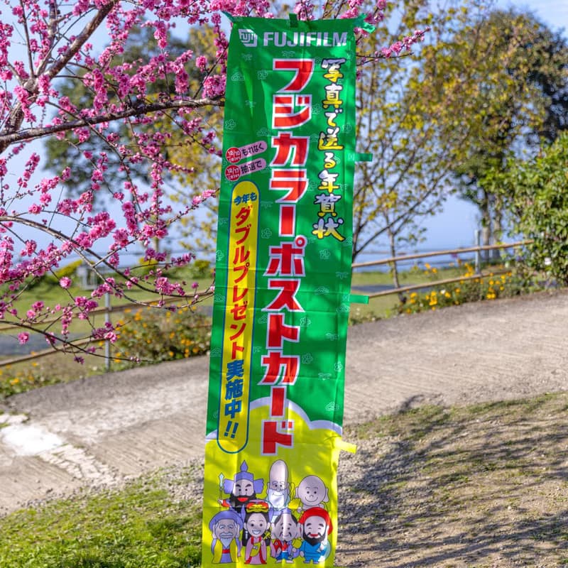 桑惠商號  昭和日本製 富士FUJIFILM 特別色印刷廣告旗幟 直式