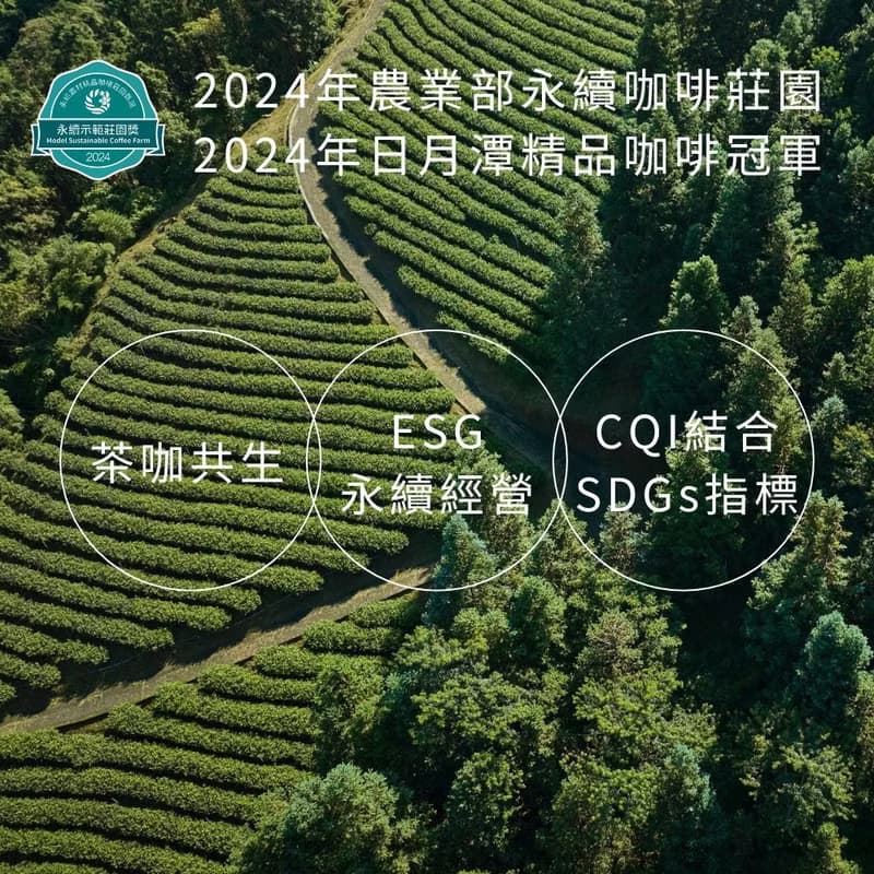 台灣手作精品咖啡豆 日曬/藝伎/中焙 113g 台灣農林鹿篙咖啡莊園