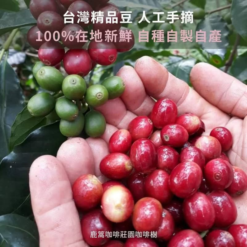 台灣手作精品咖啡豆 日曬/藝伎/中焙 113g 台灣農林鹿篙咖啡莊園