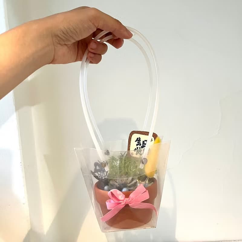 伊布 寶可夢 開幕送禮 多肉組盆 多肉植物 禮品 開幕 創意盆栽