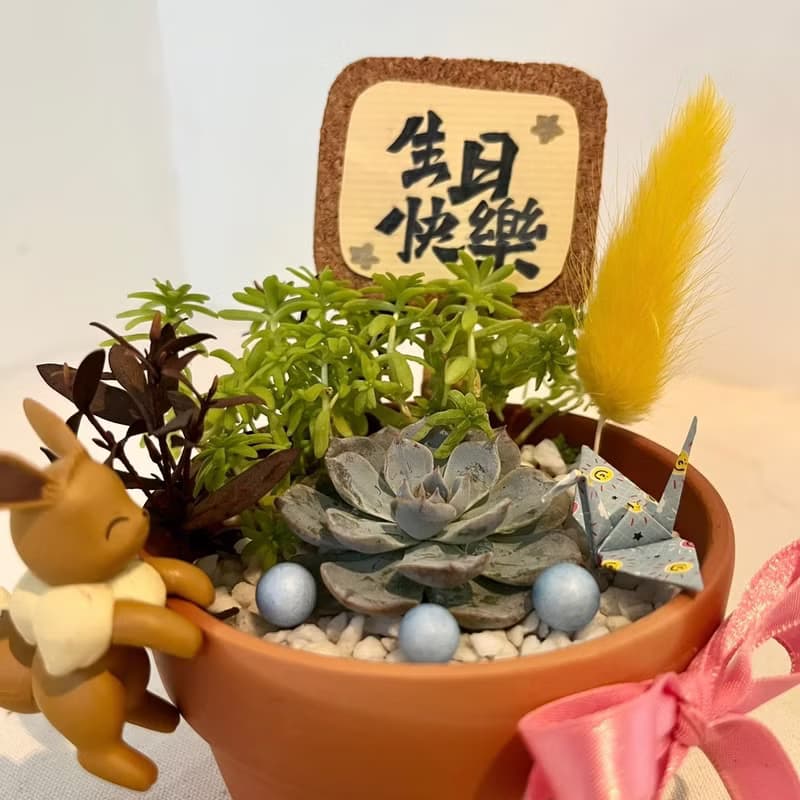 伊布 寶可夢 開幕送禮 多肉組盆 多肉植物 禮品 開幕 創意盆栽