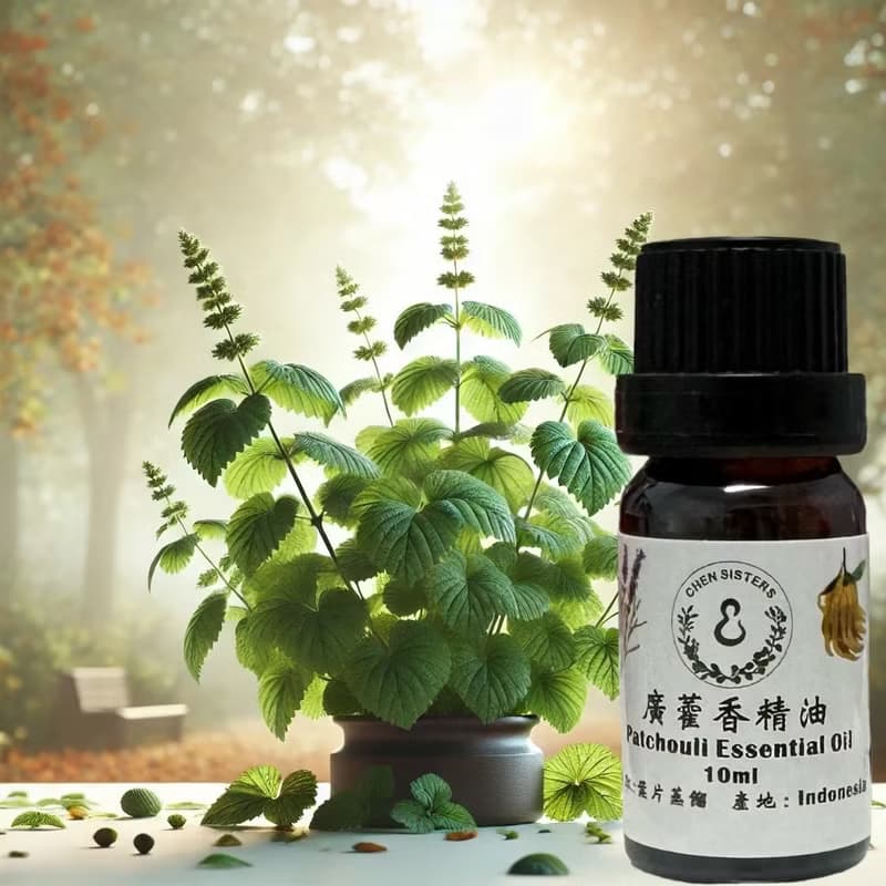 木質調精油 廣霍香精油 100%單方純精油 10ml/50ml 贈精美擴香石