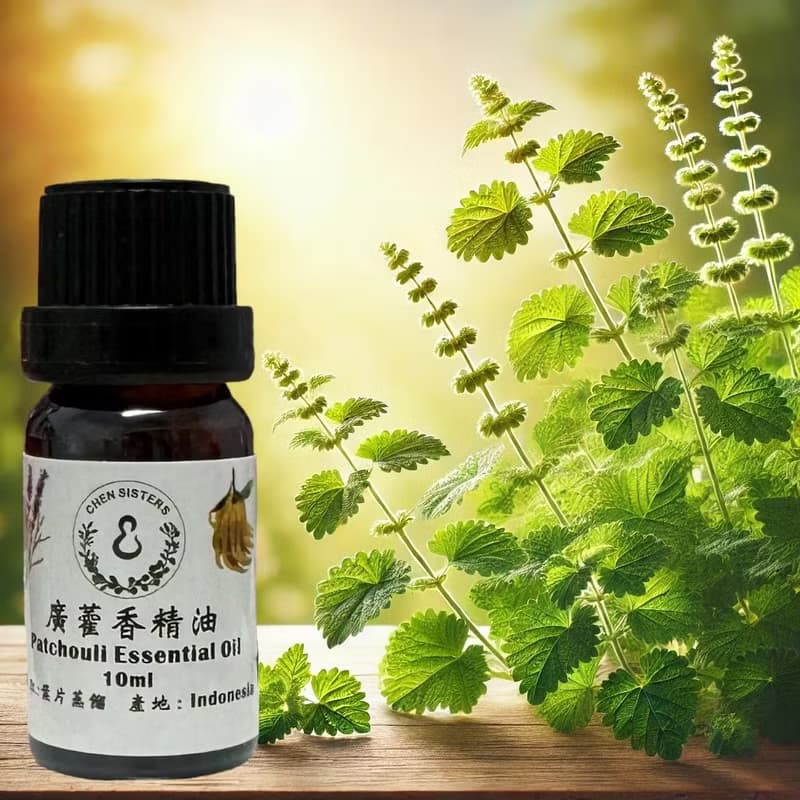 木質調精油 廣霍香精油 100%單方純精油 10ml/50ml 贈精美擴香石