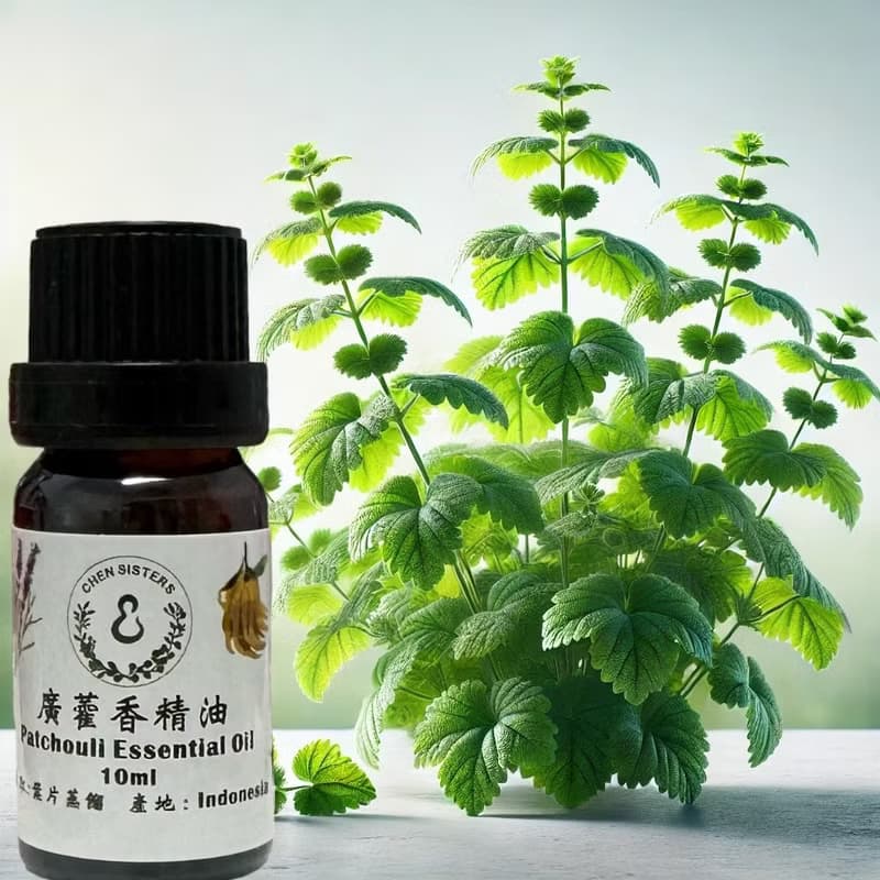 木質調精油 廣霍香精油 100%單方純精油 10ml/50ml 贈精美擴香石