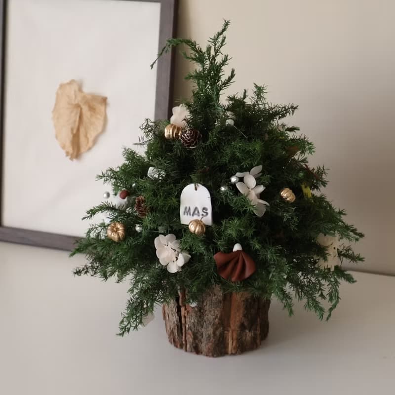 Ins 聖誕花圈 聖誕樹 聖誕禮物 交換禮物 聖誕佈置