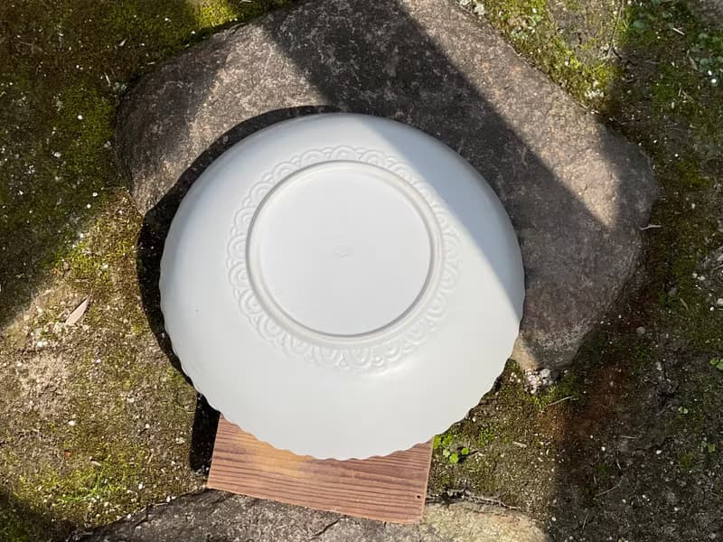 難あり 大鉢 白磁 内笹唐草