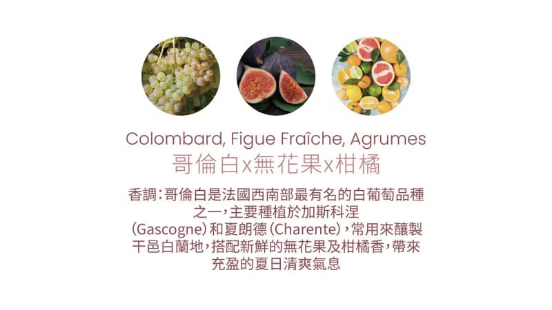 法國Cirerie de Gascogne天然香氛蠟燭 – 哥倫白x無花果x柑橘
