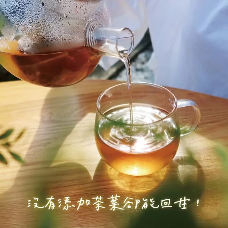 新朋友輕量補水組 | 漢方養生茶10入(自選口味)+隨行環保水瓶