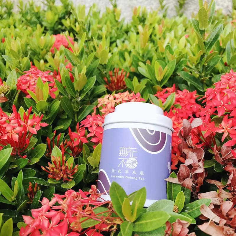 【無花不茶】花入烏龍茶-薰衣草烏龍—3g三角茶包x10入_大圓罐裝