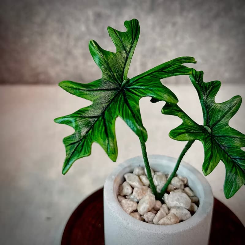 傑克林觀音蓮－手工革製小盆栽 送禮