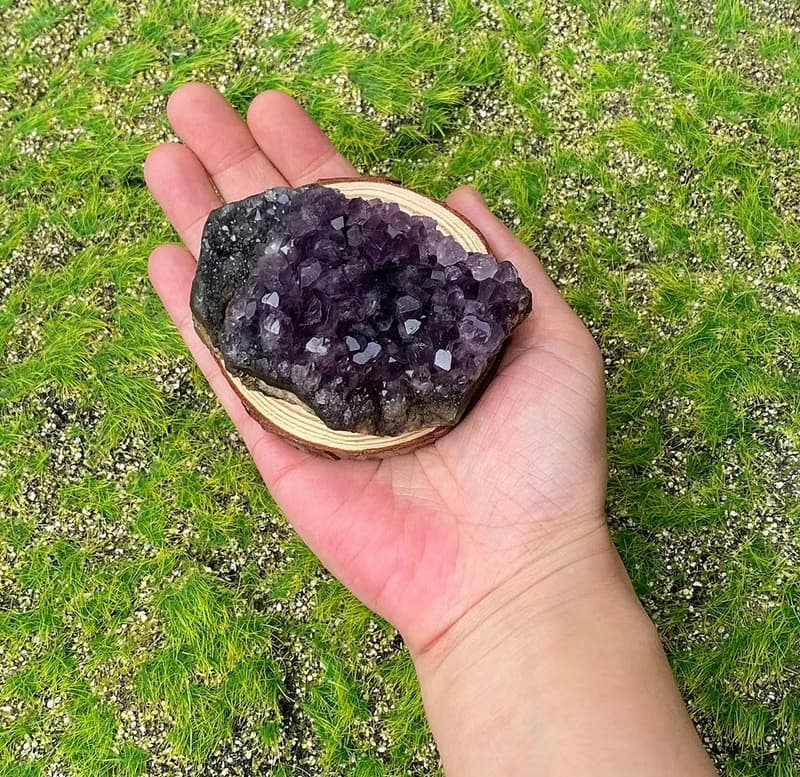 招財開運-天然原皮原礦紫晶簇 紫水晶 消磁淨化 快速出貨