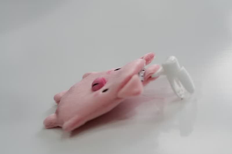Bucute迪亞福氣豬護身符.御守套/寶寶專用/手工製作/彌月禮物