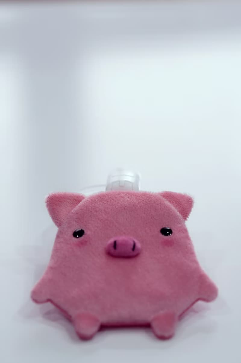 Bucute迪亞福氣豬護身符.御守套/寶寶專用/手工製作/彌月禮物