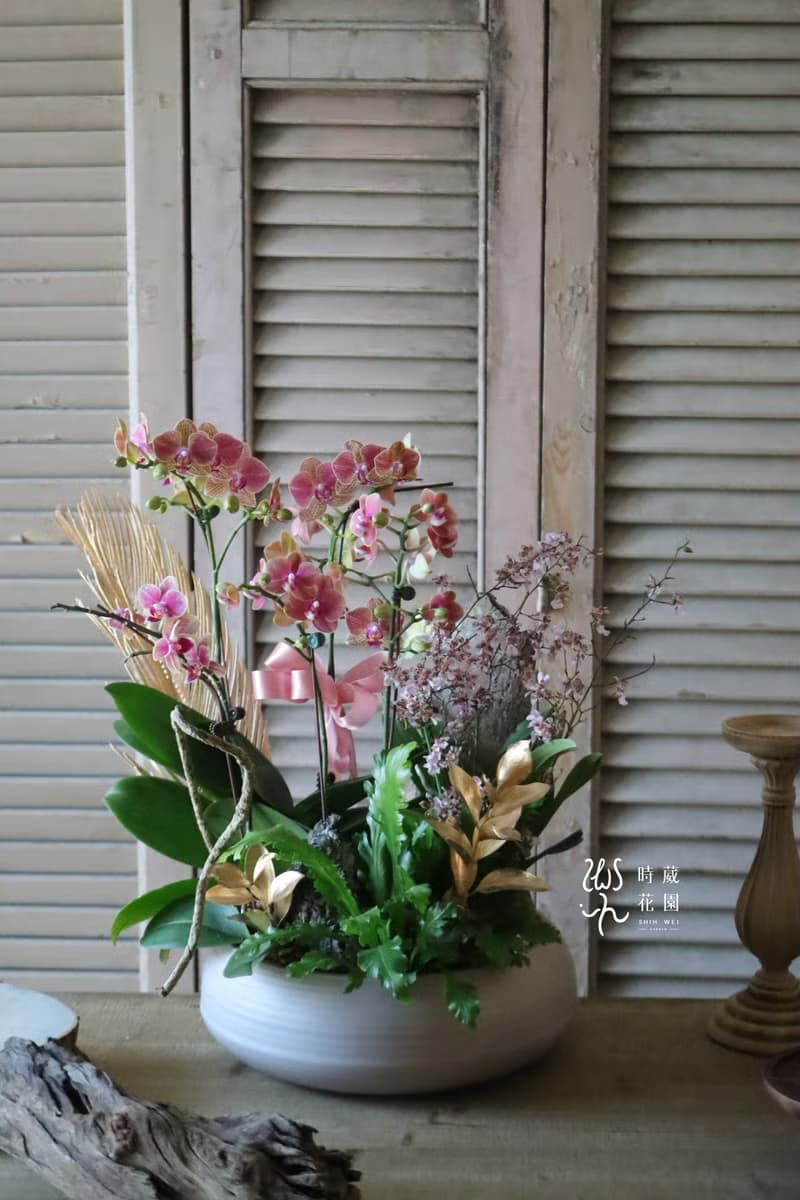 春節商品-財蛇爺蘭花組盆-春節送禮 新年送禮 新春送花