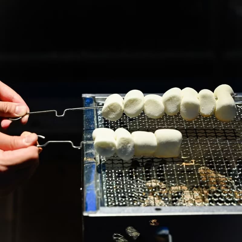 鈦好串-最頂級鈦金屬烤肉串 耐高溫不發霉烤肉串 可重複使用的燒