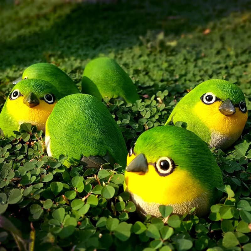 療癒圓滾滾系列-綠繡眼(Japanese white-eye)
