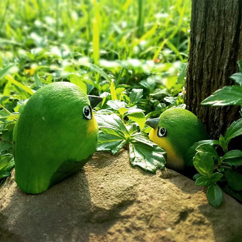 療癒圓滾滾系列-綠繡眼(Japanese white-eye)